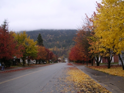 Fall Colours in Revelstoke, British Columbia